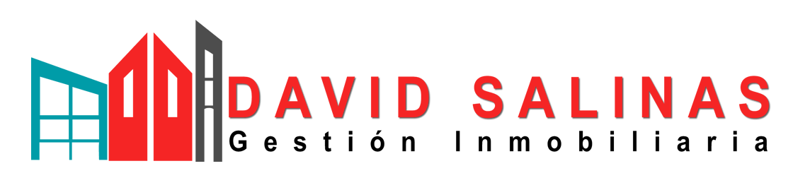 Inmobiliaria David Salinas